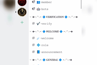 create a professional discord server setup with roles, bots, channels, and verif