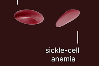 do 3d medical animation