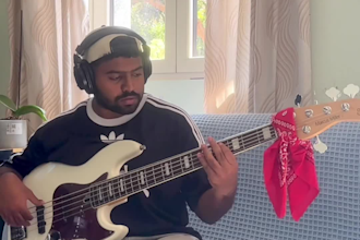 be your professional session bassist