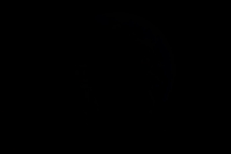 do ai video animation, ai video art