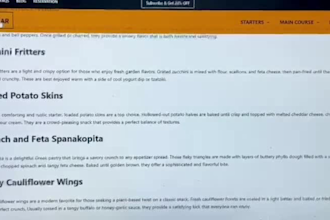 design an affordable basic wordpress website, basic website