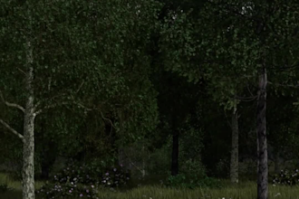 make 3d photorealism nature scene