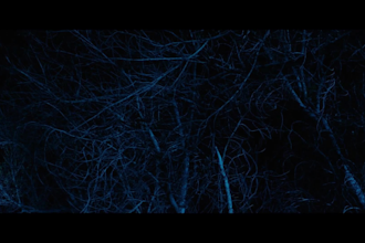 do high quality 6k vfx compositing, special effect, cgi, green screen removal