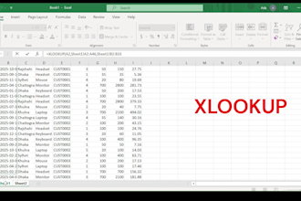 do professional microsoft excel work and cleaning  formatting