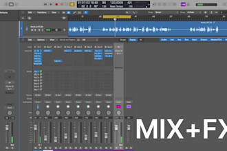 professionally restore, clean and tune your vocals
