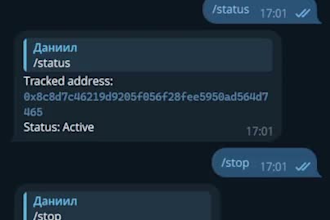build a blockchain monitoring bot