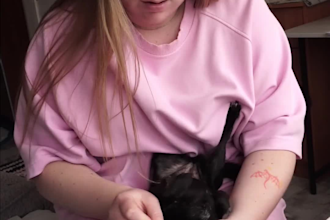 create dog ugc videos for your pet product