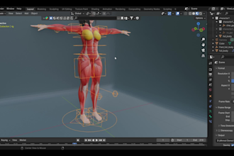 create workout animations videos about anatomy analysis and fitness 3d rigging