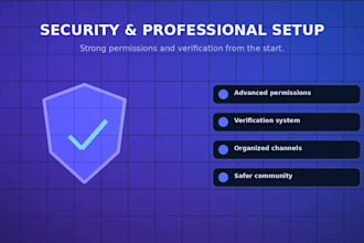 set up a professional discord server with bots and roles
