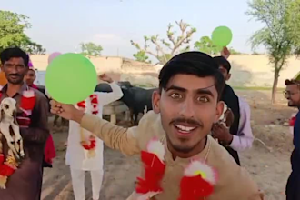 wish happy birthday video