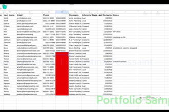 organize excel spreadsheets or hubspot crm data