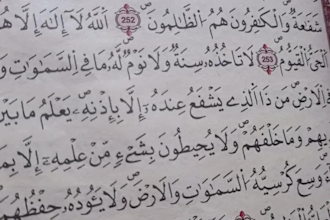 teach quran with tajweed for kids, beginners and new muslims
