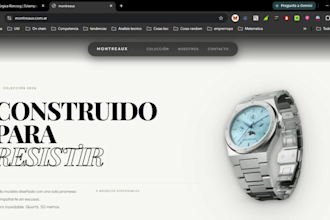 build a profitable ecommerce website and financial dashboard
