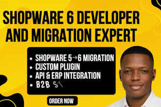 shopware 6 developer, shopware store migration  plugin expert