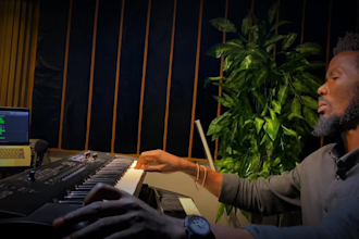 be your pro piano player synth strings organ pads and other vsts