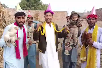 wish african happy birthday video african happy birthday