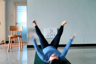 record custom yoga vidoes for your app, book or online course