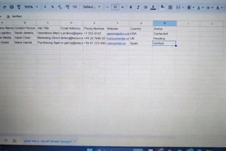 enter your data with a professionalism