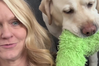 create authentic selfie style ugc videos for your brand
