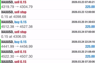 deliver profitable ea tradingbot for forex xauusd, gold market expert advisor