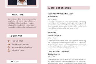 write, edit, and design a professional CV or resume