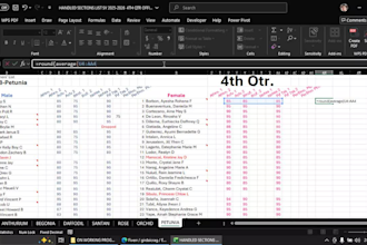 clean and organize your excel spreadsheet