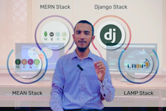 do custom ai website development as full stack web developer