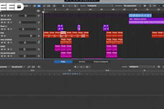 produce a custom instrumental for your song