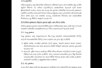 provide professional english and sinhala typing services