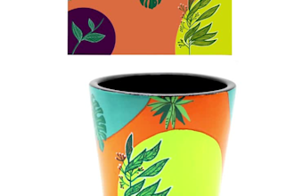 create custom illustrations and visual designs
