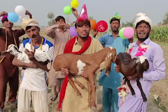 do happy birthday wish or african happy birthday video