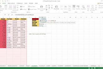 professional data entry and excel data cleaning
