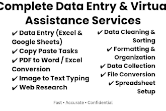 data entry excel word CRM tasks