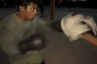 design a professional MMA and fitness workout plan