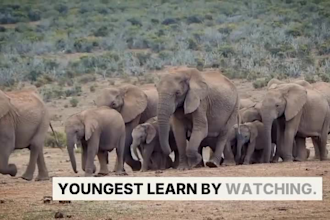 narrate your nature and wildlife documentaries