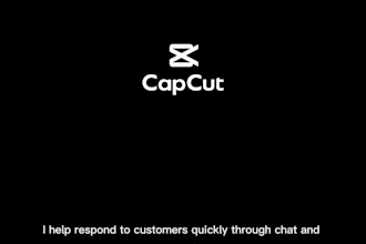 provide professional chat support and customer service for your business