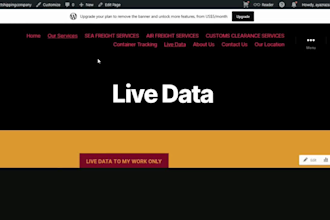 create or edit a professional wordpress website