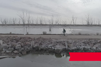 create a professional and creative video