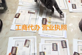 help you register company in shenzhen