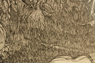 draw a fantasy illustration for books, games or cards