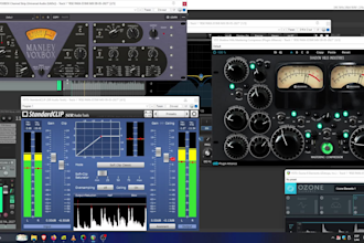 provide professional analog style mastering