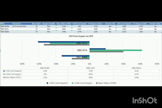 build excel models, analyze data and create dashboards