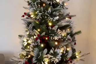 film christmas ugc video, holiday and black friday for brand spokesperson