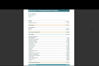 prepare financial statements and management reports in excel