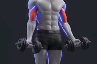 do 3d workout animation, 3d gym, exercise and 3d fitness animation