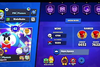 be your pro teammate in brawl stars