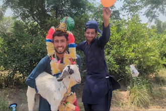 african happy birthday video african happy birthday
