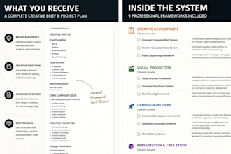 create a professional creative brief and project plan
