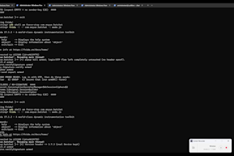 analyze secure messaging protocols and cryptographic vulnerabilities