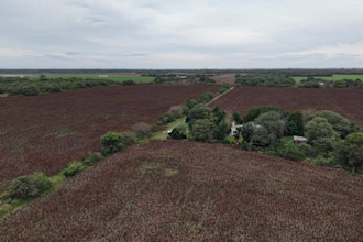 create cinematic drone aerial videos in 4k